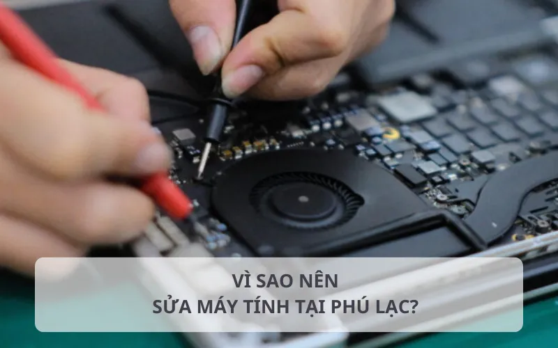 Lý do nên chọn dịch vụ sửa máy tính tại Phú Lạc của Hoàng Hà