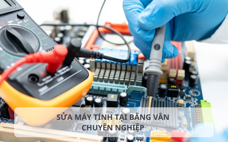 Lý do khách hàng tin chọn dịch vụ của Hoàng Hà